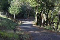 Land for sale in Sonoma County, California