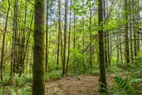 Land for sale in Thurston County, Washington