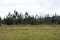Land for sale in Ascension Parish, Louisiana