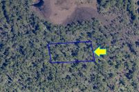 Undeveloped Land for sale in Brevard County, Florida