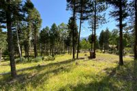 Land for sale in Colfax County, New Mexico
