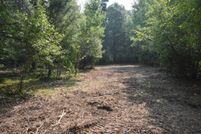 Undeveloped Land for sale in Cass County, Minnesota
