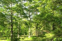 Undeveloped Land for sale in Bayfield County, Wisconsin
