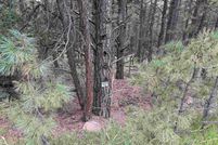 Land for sale in Colfax County, New Mexico