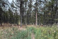 Homesite for sale in Colfax County, New Mexico