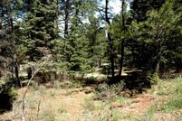 Land for sale in Colfax County, New Mexico