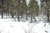 Undeveloped Land for sale in Colfax County, New Mexico