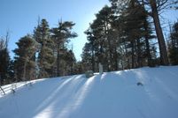 Homesite for sale in Colfax County, New Mexico