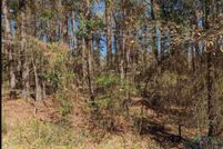 Farm and Ranch for sale in Marion County, Texas
