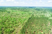 Undeveloped Land for sale in Cass County, Texas