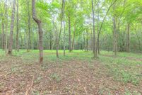 Land for sale in Whitfield County, Georgia