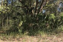 Land for sale in Putnam County, Florida