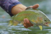 Land for sale in Gunnison County, Colorado