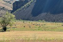 Land for sale in Douglas County, Washington