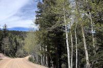 Undeveloped Land for sale in Colfax County, New Mexico