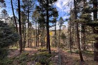 Homesite for sale in Colfax County, New Mexico