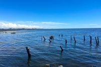 Undeveloped Land for sale in Taylor County, Florida