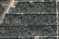 Land for sale in Dixie County, Florida