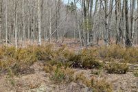 Land for sale in Greene County, New York