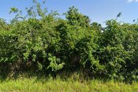 Land for sale in Brevard County, Florida