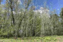 Undeveloped Land for sale in Shawano County, Wisconsin