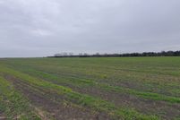 Land for sale in Navarro County, Texas