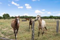 Land for sale in Hays County, Texas