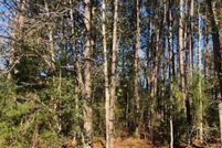Land for sale in Dale County, Alabama