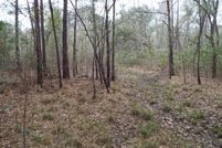 Undeveloped Land for sale in Berkeley County, South Carolina