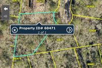 Undeveloped Land for sale in San Jacinto County, Texas