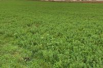 Undeveloped Land for sale in Stearns County, Minnesota
