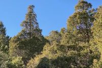 Undeveloped Land for sale in Taos County, New Mexico
