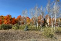 Undeveloped Land for sale in Cheboygan County, Michigan