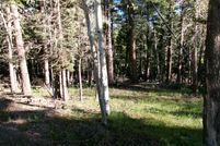 Undeveloped Land for sale in Colfax County, New Mexico