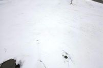 Land for sale in Waupaca County, Wisconsin