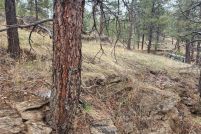 Undeveloped Land for sale in Jefferson County, Colorado