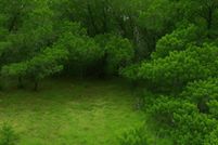 Land for sale in Travis County, Texas