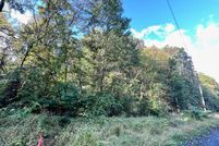 Homesite for sale in Shenandoah County, Virginia