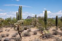 Undeveloped Land for sale in Pima County, Arizona