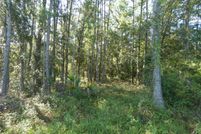 Land for sale in Levy County, Florida
