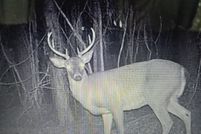 Land for sale in Turner County, Georgia