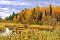 Land for sale in Saint Louis County, Minnesota