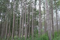 Land for sale in Washington County, Wisconsin