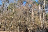 Undeveloped Land for sale in Alexander County, North Carolina