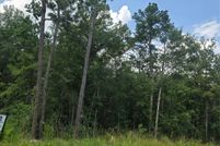 Undeveloped Land for sale in Liberty County, Texas