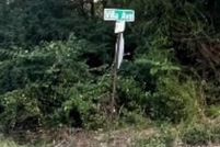 Land for sale in Caddo Parish, Louisiana