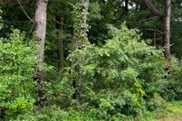 Timberland Property for sale in Hampden County, Massachusetts