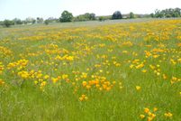 Land for sale in Yolo County, California