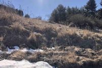 Land for sale in Whitman County, Washington