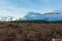Undeveloped Land for sale in Whatcom County, Washington
